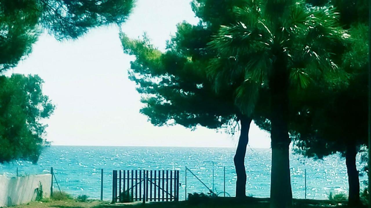 Seafront Villa Joan Nea Skioni Eksteriør billede