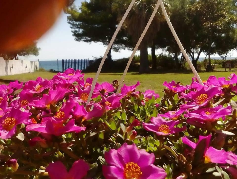 Seafront Villa Joan Nea Skioni Eksteriør billede